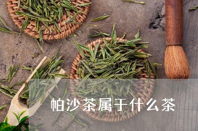 帕沙茶属于什么茶/2023041258593