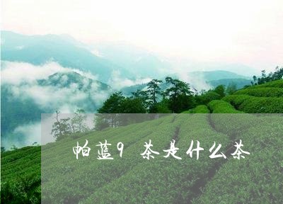 帕蓝9茶是什么茶/2023032460613