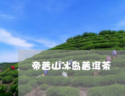 帝普山冰岛普洱茶/2023041282613