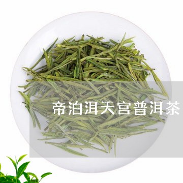 帝泊洱天宫普洱茶/2023040100795