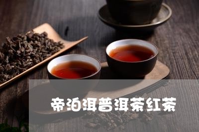 帝泊洱普洱茶红茶/2023040116268