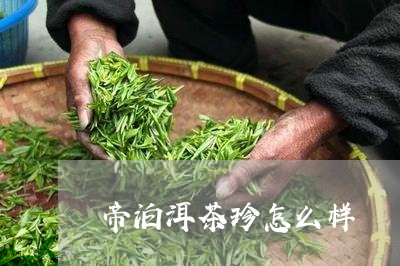 帝泊洱茶珍怎么样/2023031847268