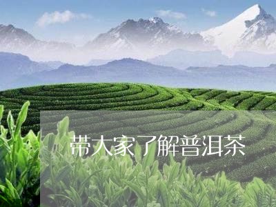 带大家了解普洱茶/2023041072947