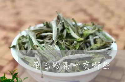 带毛的茶叶有哪些/2023032566038