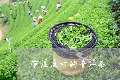 带湿度计的普洱茶/2023033134925