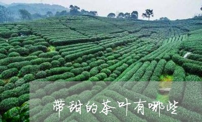 带甜的茶叶有哪些/2023032538292