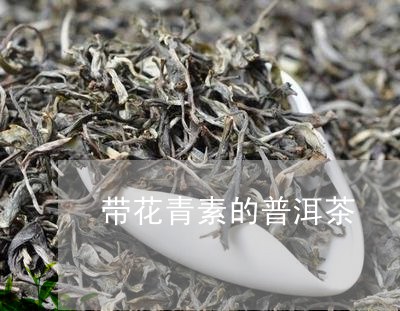 带花青素的普洱茶/2023033157058