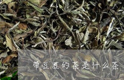 带豆豆的茶是什么茶/2023041529493