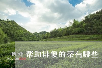 帮助排便的茶有哪些/2023041592815