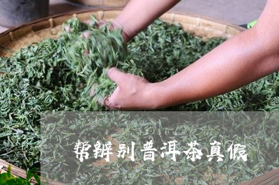 帮辨别普洱茶真假/2023041369604