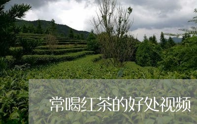 常喝红茶的好处视频/2023032192828