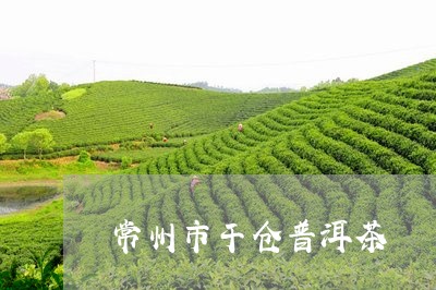 常州市干仓普洱茶/2023041192847