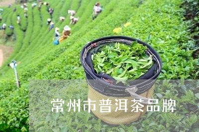 常州市普洱茶品牌/2023041264152