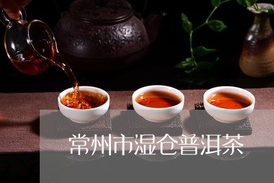 常州市湿仓普洱茶/2023033198040