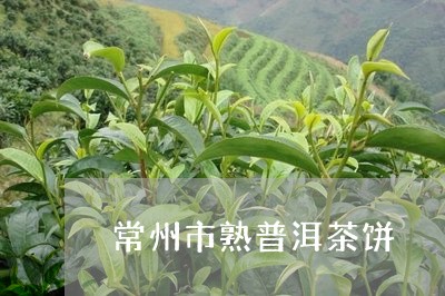 常州市熟普洱茶饼/2023031698272