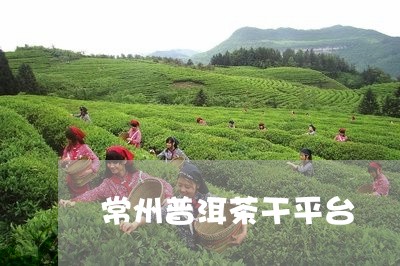 常州普洱茶干平台/2023041294927