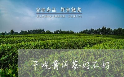 干吃普洱茶好不好/2023031705940