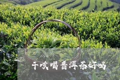 干咳喝普洱茶好吗/2023040908340