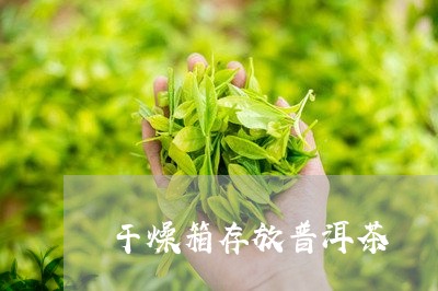 干燥箱存放普洱茶/2023040100713