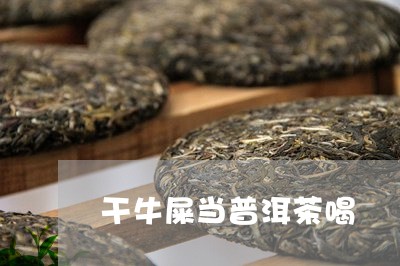 干牛屎当普洱茶喝/2023033147140