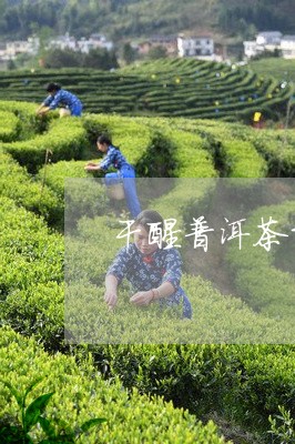 干醒普洱茶重要性/2023033075038