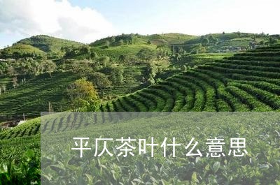 平仄茶叶什么意思/2023032528592