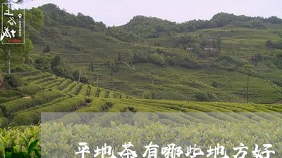 平地茶有哪些地方好/2023041586248