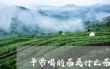 平常喝的茶是什么茶/2023041581626