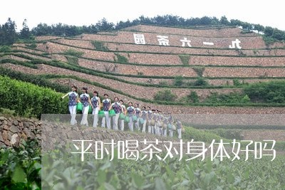 平时喝茶对身体好吗/2023041671593