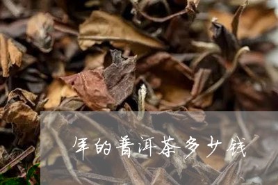 年的普洱茶多少钱/2023033042625