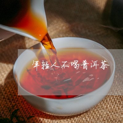 年轻人不喝普洱茶/2023033134150