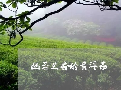 幽若兰香的普洱茶/2023031646484