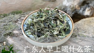 广东人早上喝什么茶/2023041590395