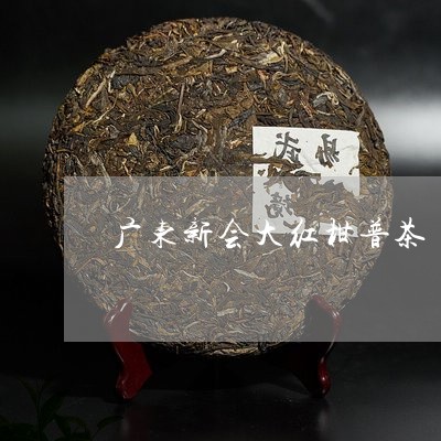 广东新会大红柑普茶/2023032106948