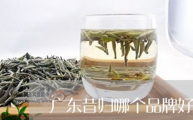 广东昔归哪个品牌好/2023031861682