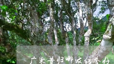 广东昔归哪家信誉好/2023041409290