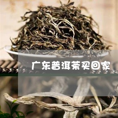 广东普洱茶买回家/2023041095149