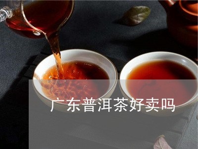 广东普洱茶好卖吗/2023040912827