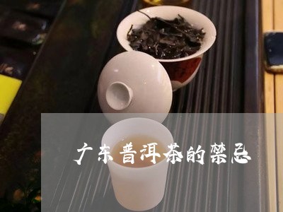 广东普洱茶的禁忌/2023040994826