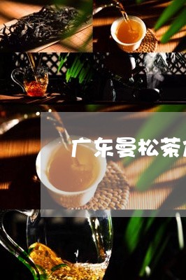 广东曼松茶加盟商/2023032247150