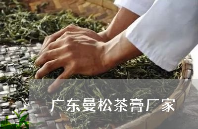 广东曼松茶膏厂家/2023032237262