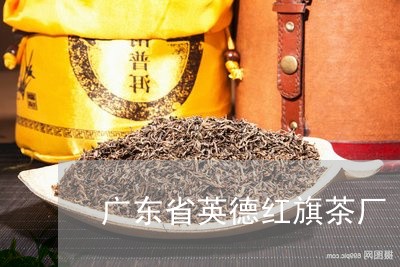 广东省英德红旗茶厂/2023041675158