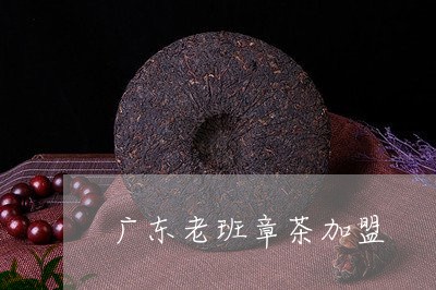 广东老班章茶加盟/2023032926070