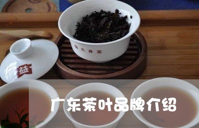 广东茶叶品牌介绍/2023032550705