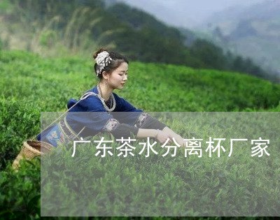 广东茶水分离杯厂家/2023041517371