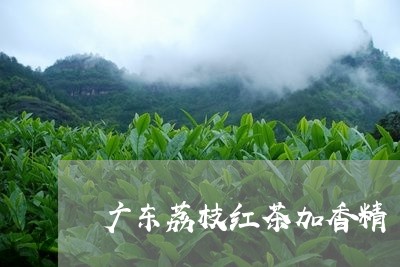 广东荔枝红茶加香精/2023031882838