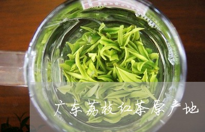 广东荔枝红茶原产地/2023041547473