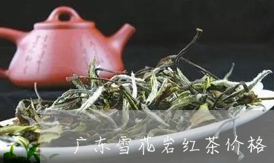 广东雪花岩红茶价格/2023032103605