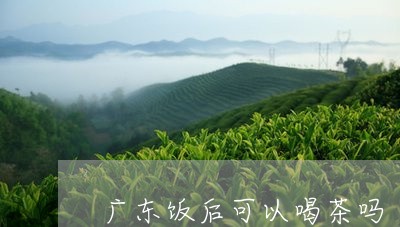 广东饭后可以喝茶吗/2023041608481