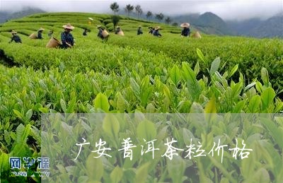 广安普洱茶粕价格/2023031745169